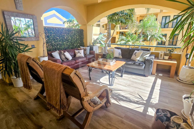 Beachside Apartment with Pool, Lush Gardens and Tourist Licence