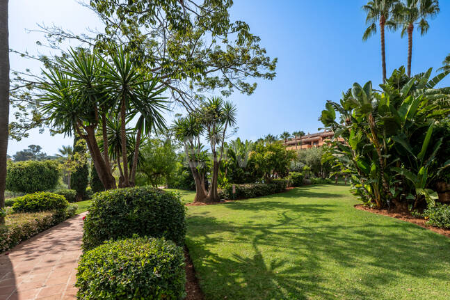 Appartement Terrasse à louer en Marbella Golden Mile, Marbella (Toutes les zones)