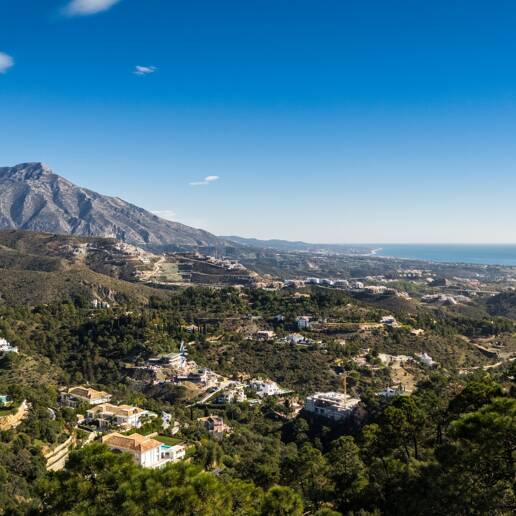 Parc exceptionnel avec projet à La Zagaleta