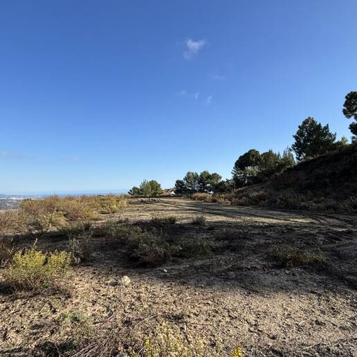 Parc exceptionnel avec projet à La Zagaleta