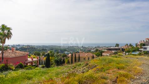 Prime Flamingos Golf Plot with Elite Golf Surroundings