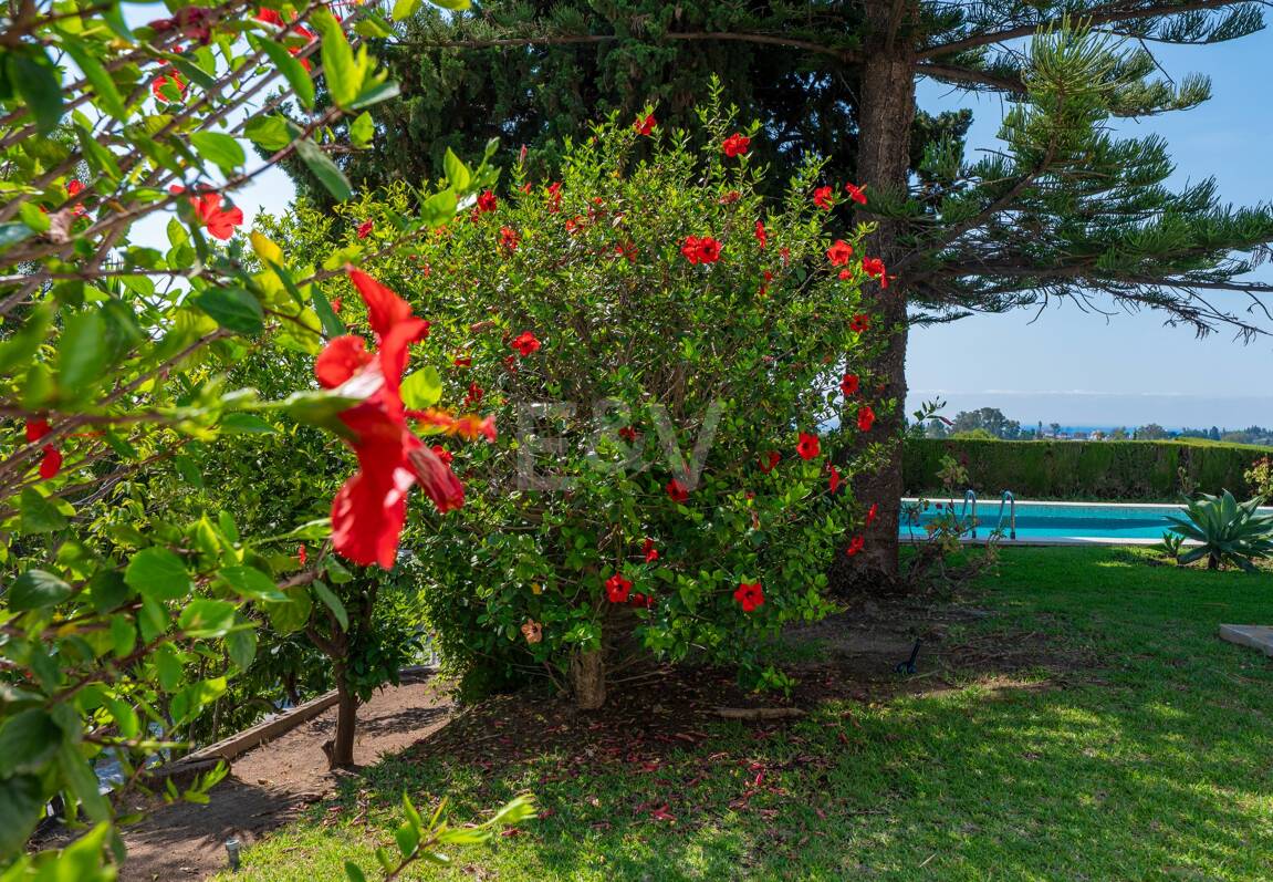 Villa bungalow contemporánea en alquiler a largo plazo cerca de La Quinta y San Pedro
