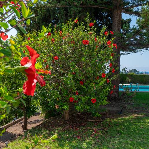 Villa bungalow contemporánea en alquiler a largo plazo cerca de La Quinta y San Pedro