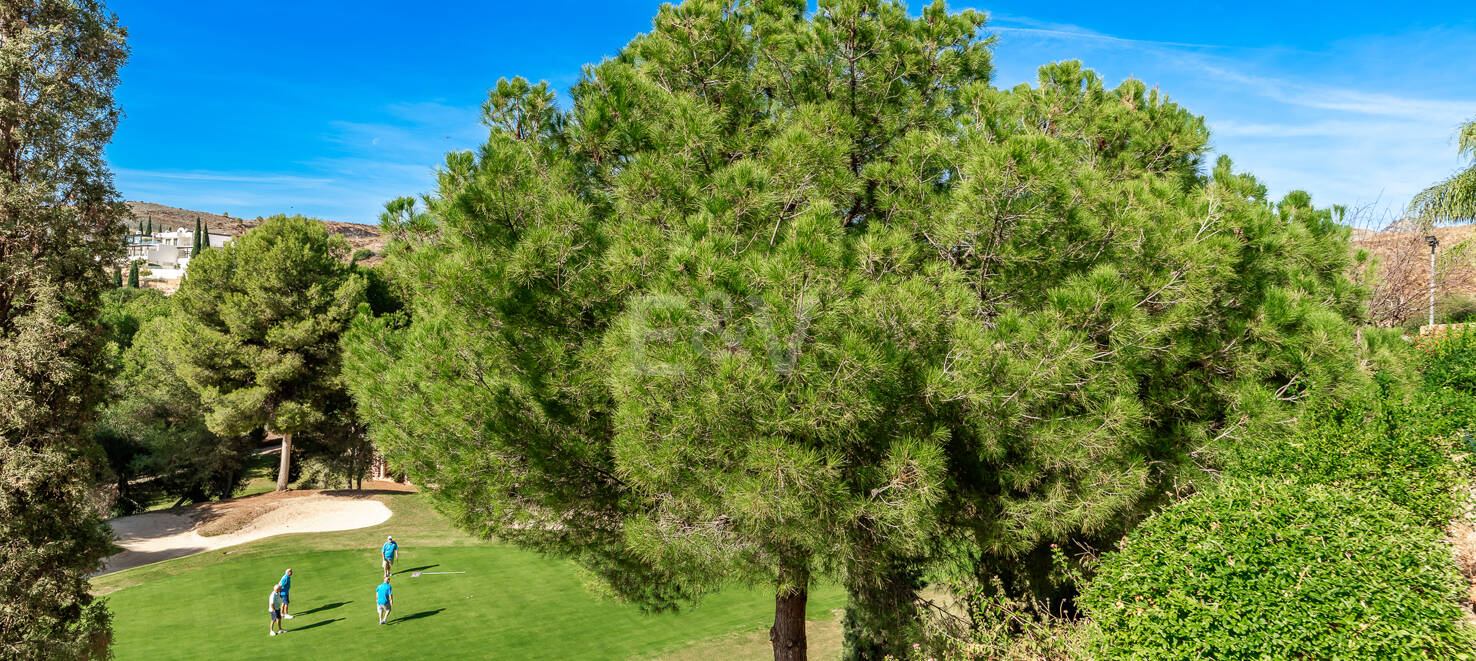 Appartement rez de chaussée à vendre en Benahavis