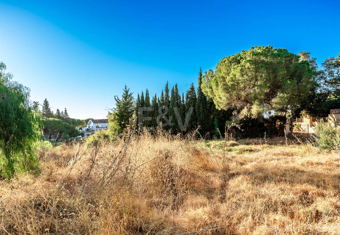 Nowoczesny projekt Villa na premierze