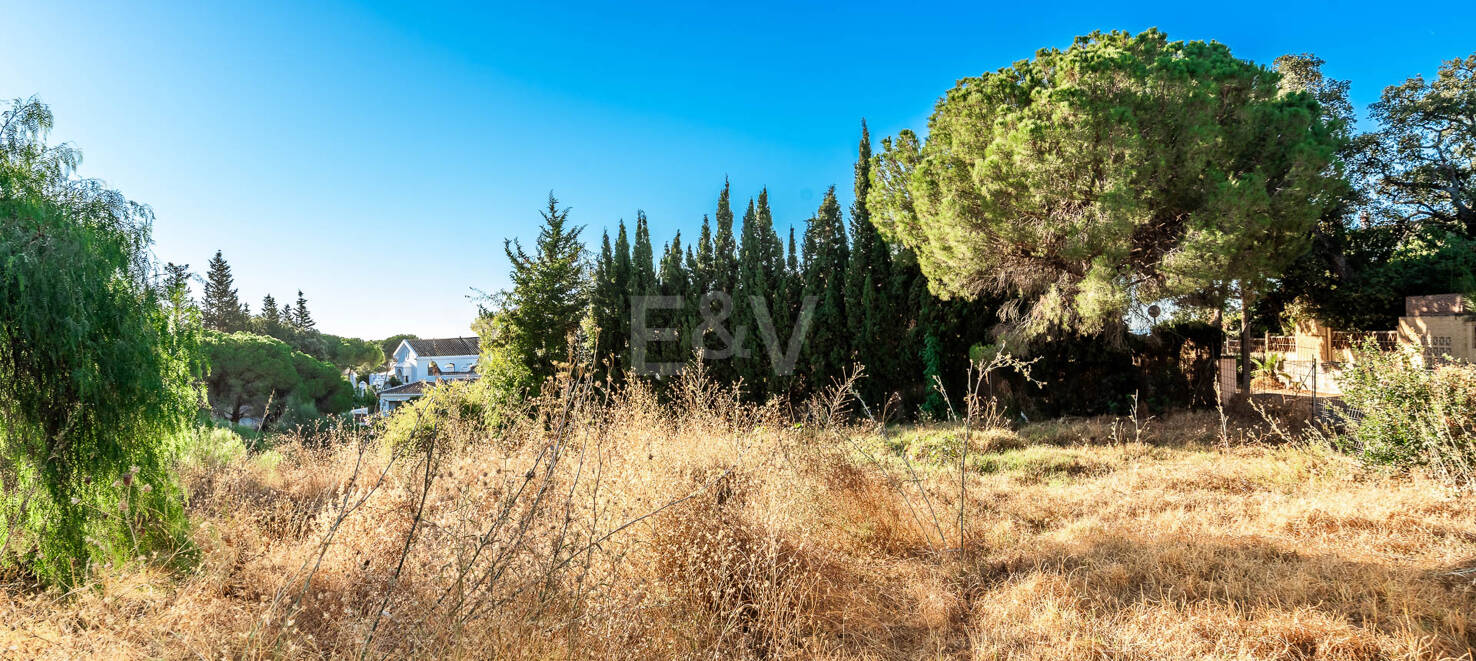 Modern Villa Project on a Prime Plot