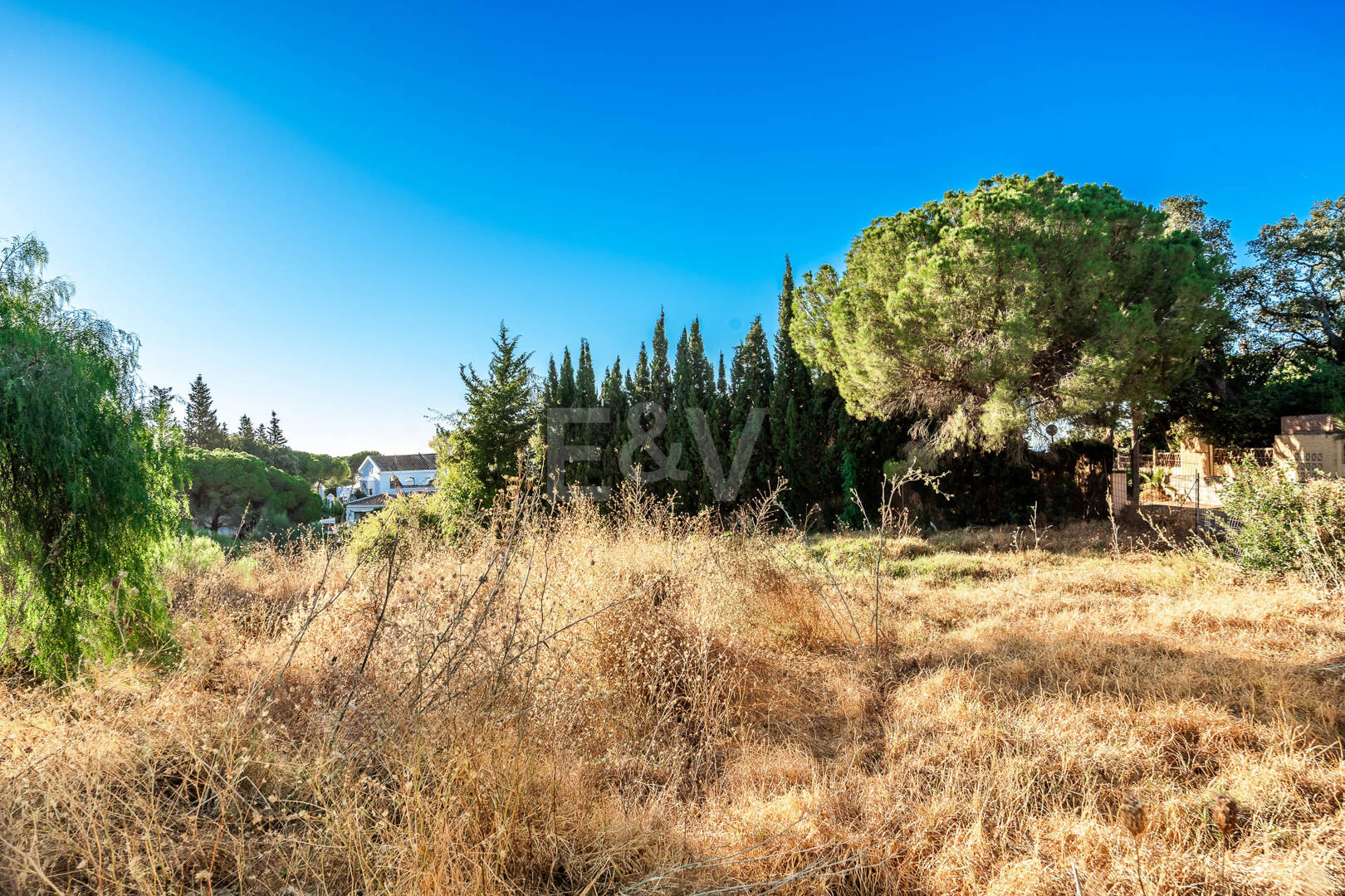 Nowoczesny projekt Villa na premierze