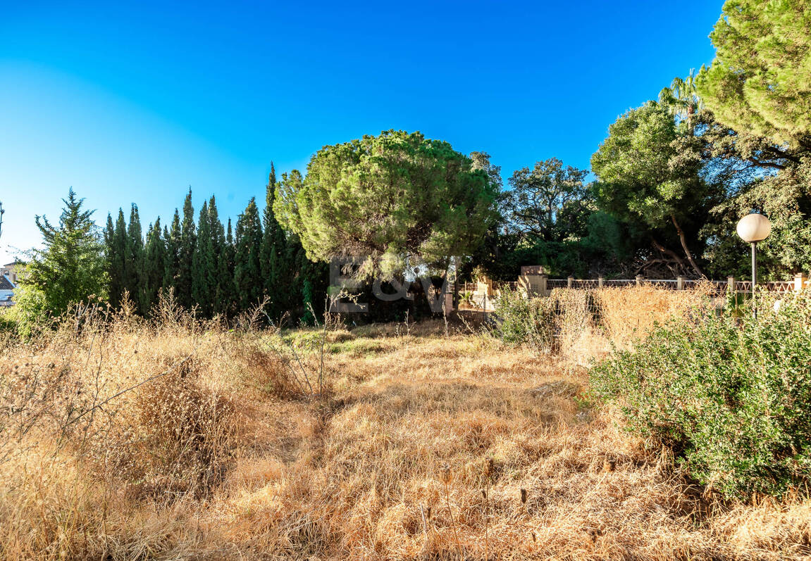 Nowoczesny projekt Villa na premierze