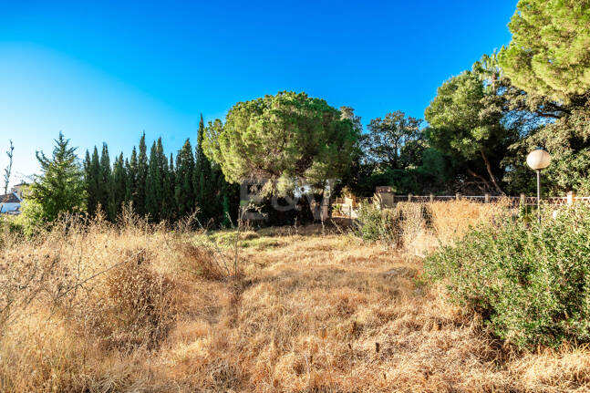 Nowoczesny projekt Villa na premierze