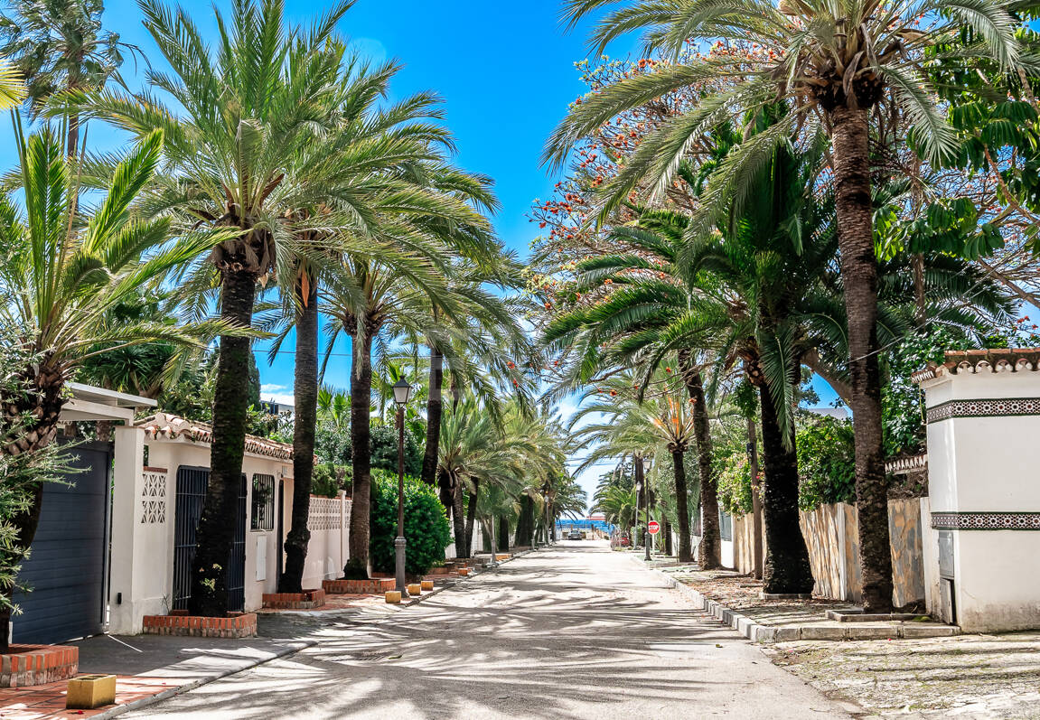 Terrain, projet et licence pour construire une villa moderne près de la plage