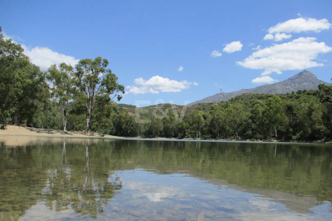 Corner Townhouse with Garden and Independent apartment