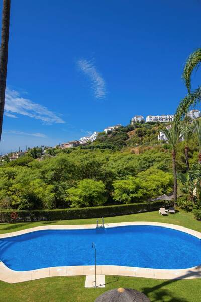 Property Contact Image