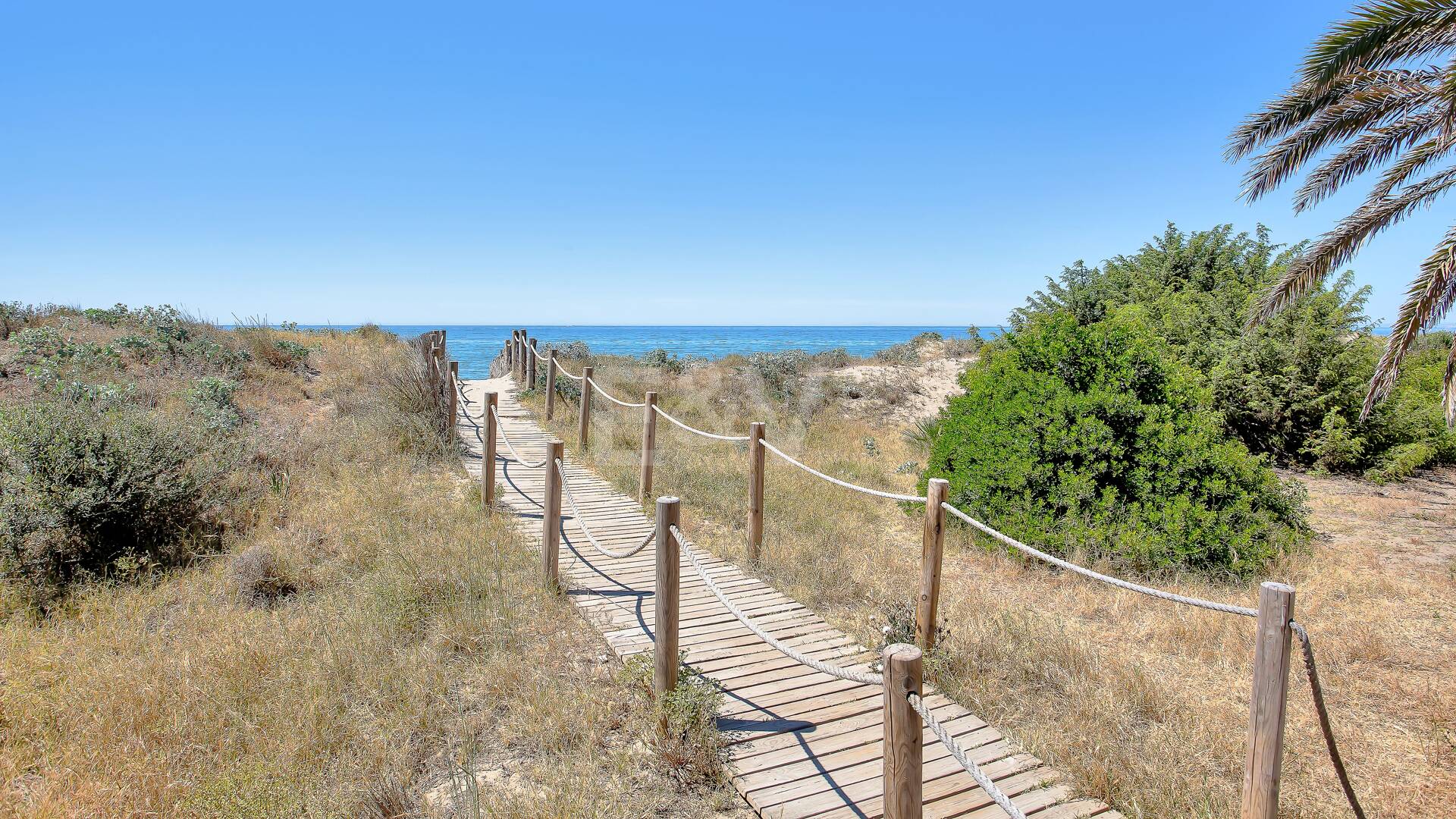 Apartament z ogrodem przy plaży w kompleksie Palm Beach