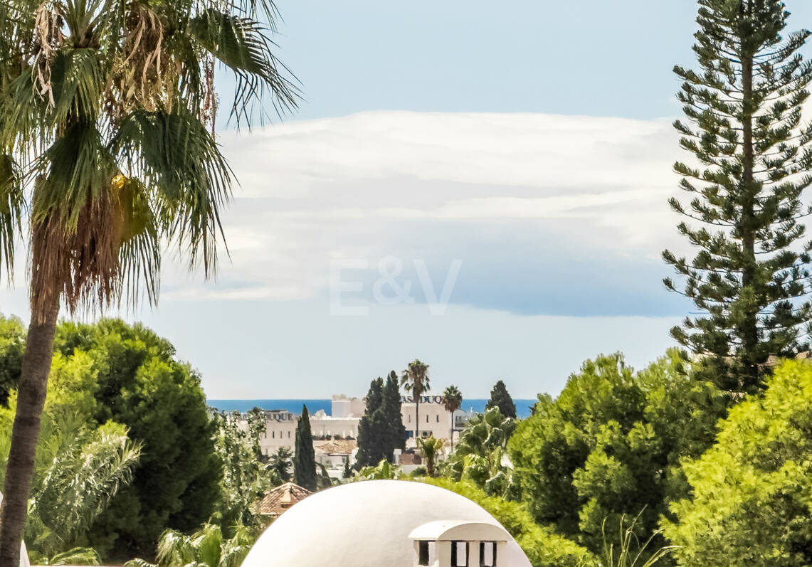 Penthouse with impressive Rooftop Solarium in Nueva Andalucía