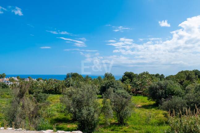 Exceptional Investment Opportunity on Marbella’s Golden Mile