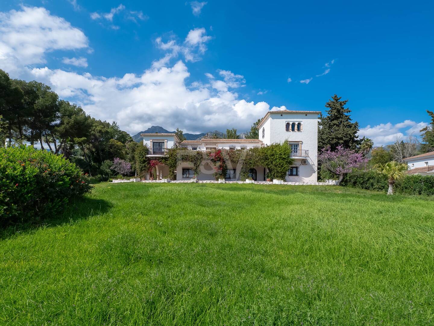 Exceptional Investment Opportunity on Marbella’s Golden Mile