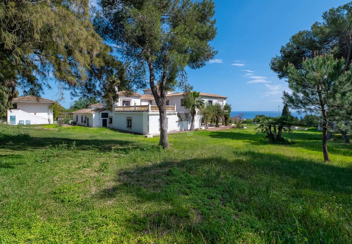 Exceptional Investment Opportunity on Marbella’s Golden Mile