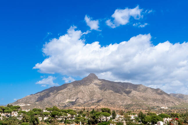 Conveniently Located Apartment with Panoramic Solarium in Aloha Gardens