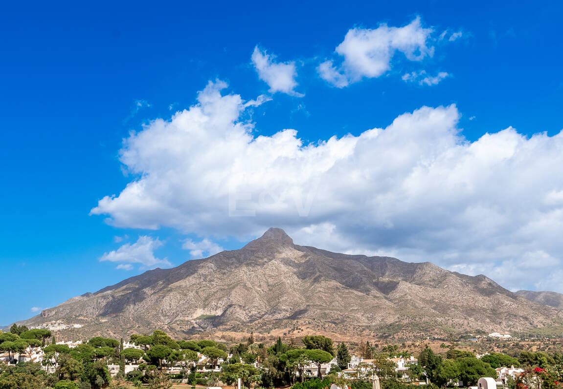 Conveniently Located Apartment with Panoramic Solarium in Aloha Gardens