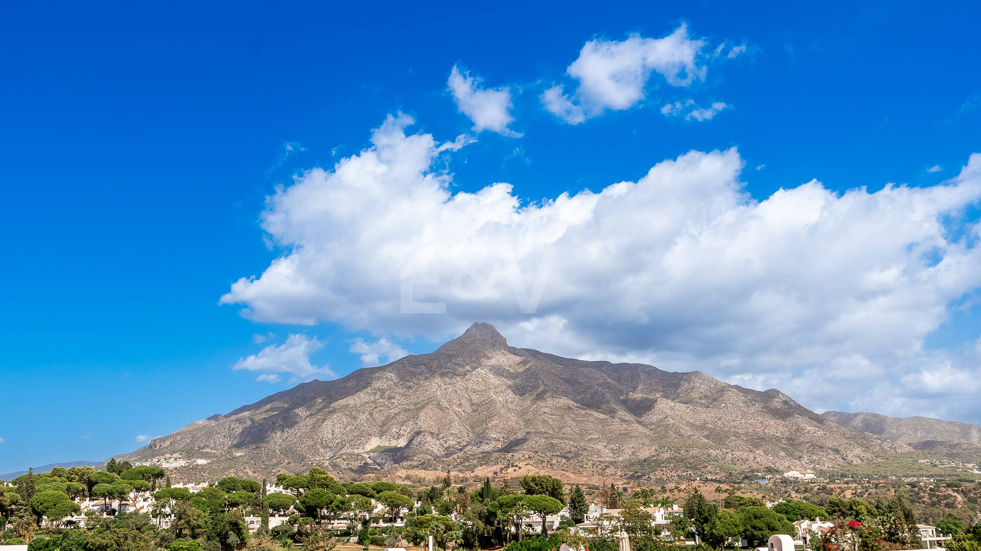 Conveniently Located Apartment with Panoramic Solarium in Aloha Gardens