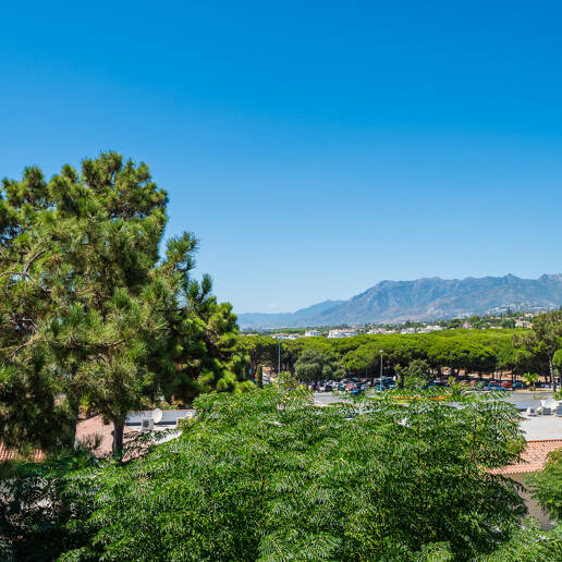 Ático en ubicación privilegiada con terraza amplia y vistas de impacto
