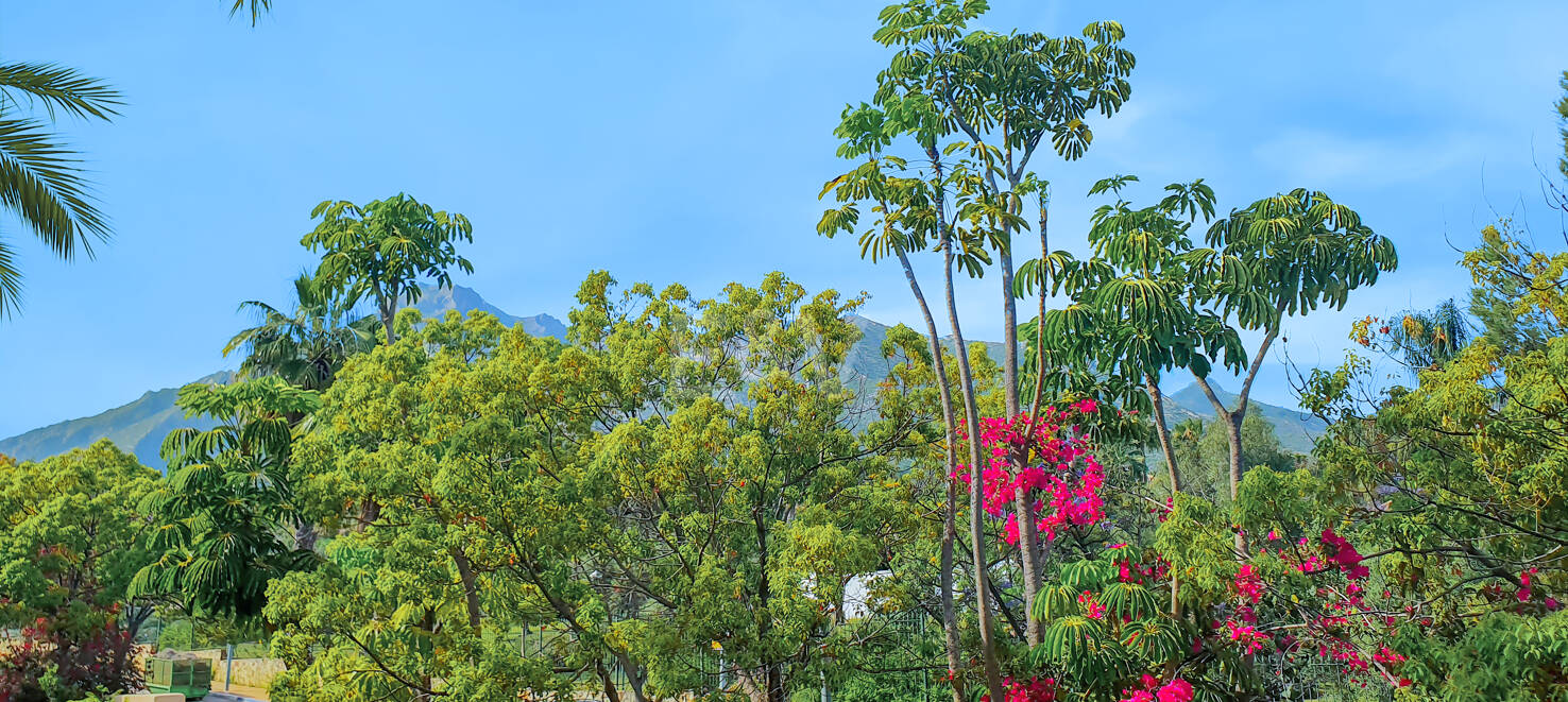 Spacious Luxury Apartment in the Prestigious Mansion Club, Sierra Blanca