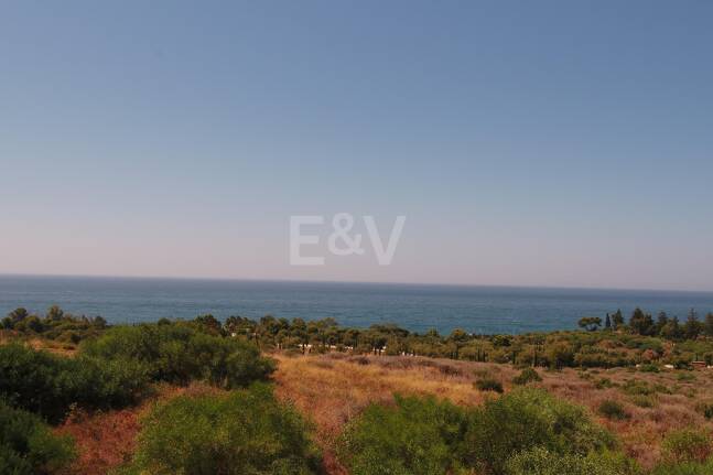 Outstanding Investment Opportunity – Four Plots with Villa Projects