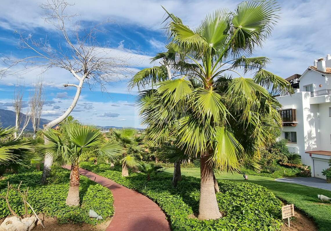 Elegant 3-Bedroom Apartment with Panoramic Sea Views in Lomas del Marqués, Benahavís | Long-Term Rental