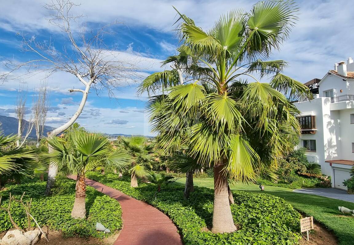 Apartament do wynajęcia w Benahavis