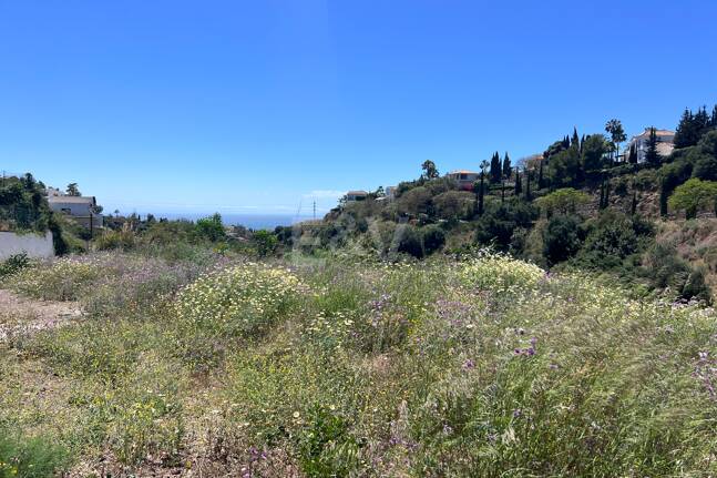 Terrain à vendre en El Rosario, Marbella Est