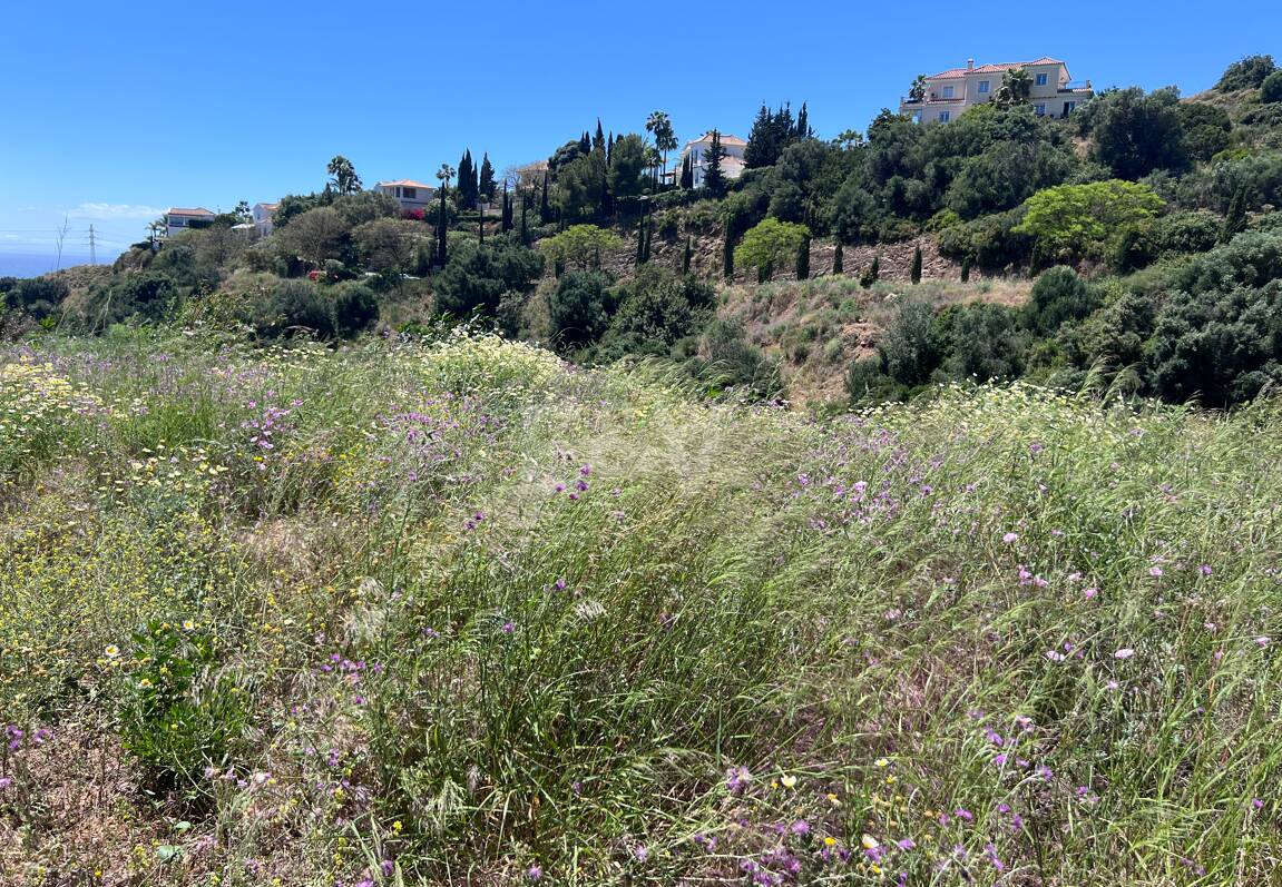 Terrain à vendre en El Rosario, Marbella Est