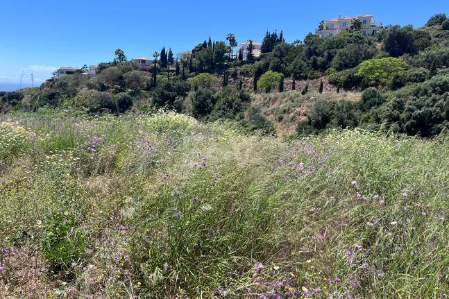Terrain à vendre en El Rosario, Marbella Est