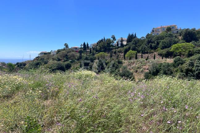Terrain à vendre en El Rosario, Marbella Est