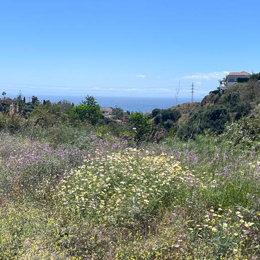 Terrain à vendre en El Rosario, Marbella Est
