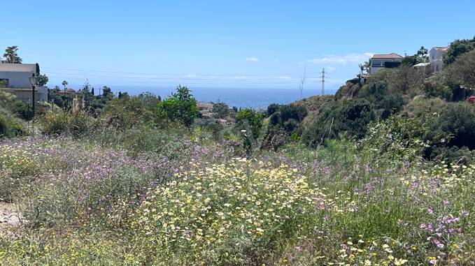 Grundstück mit Meerblick und Südwestausrichtung in El Rosario