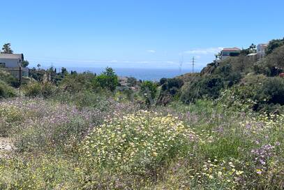 Terrain à vendre en El Rosario, Marbella Est