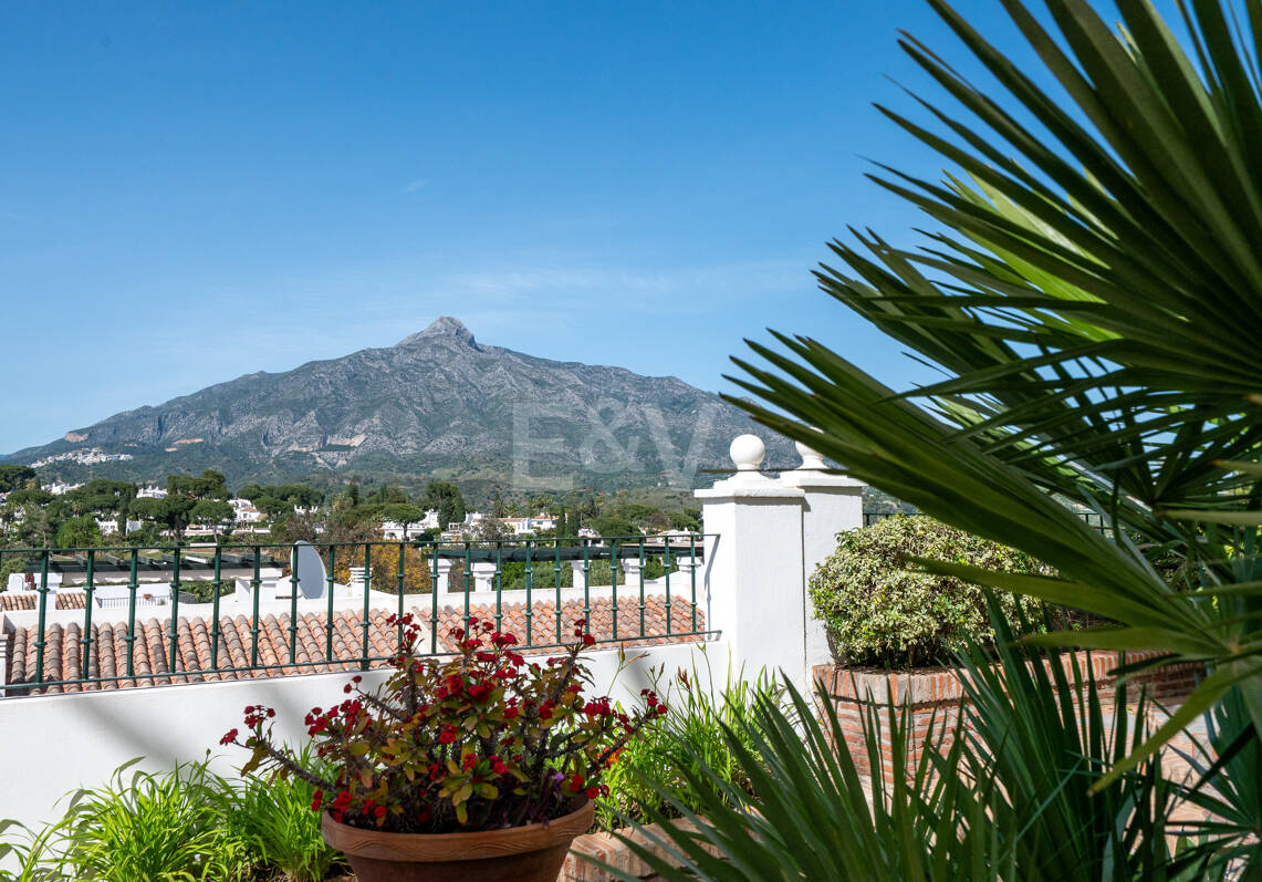 Appartement rez de chaussée à louer en Nueva Andalucia, Marbella (Toutes les zones)
