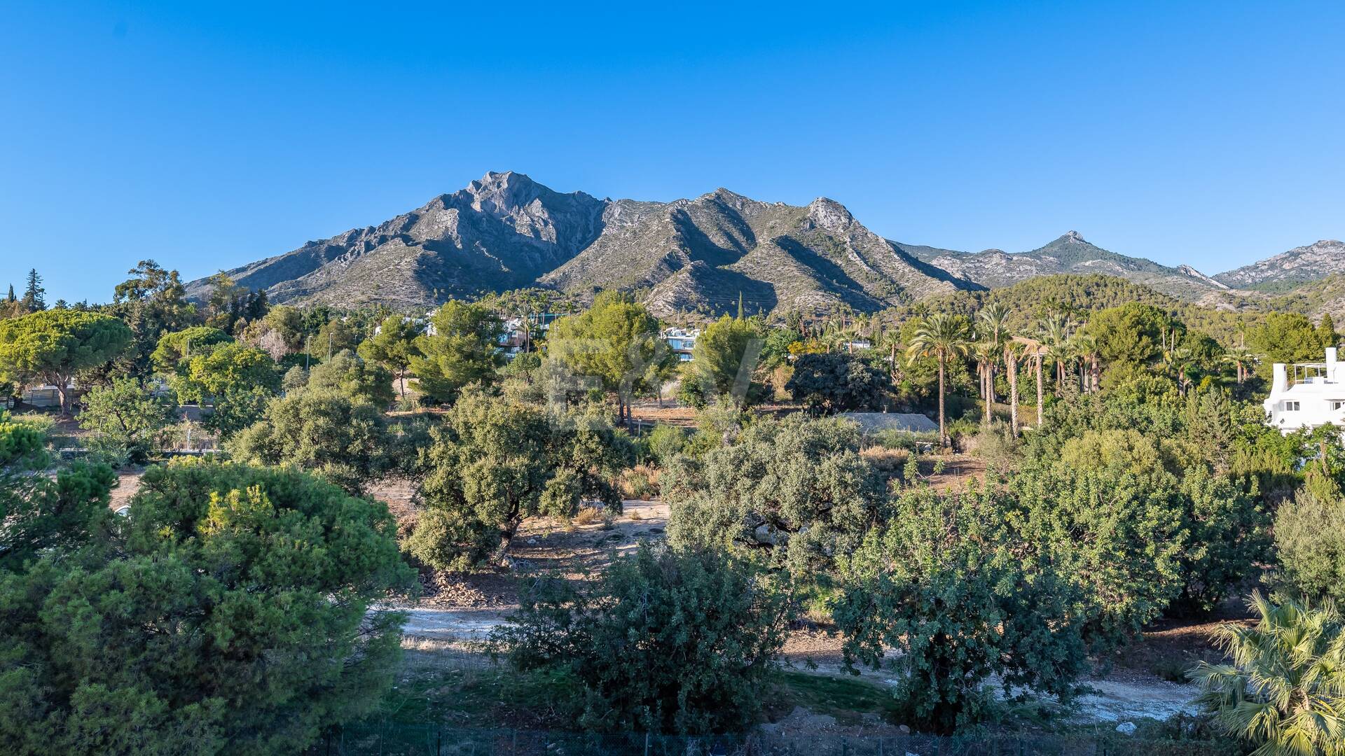 Appartement Terrasse à louer en Marbella Golden Mile, Marbella (Toutes les zones)