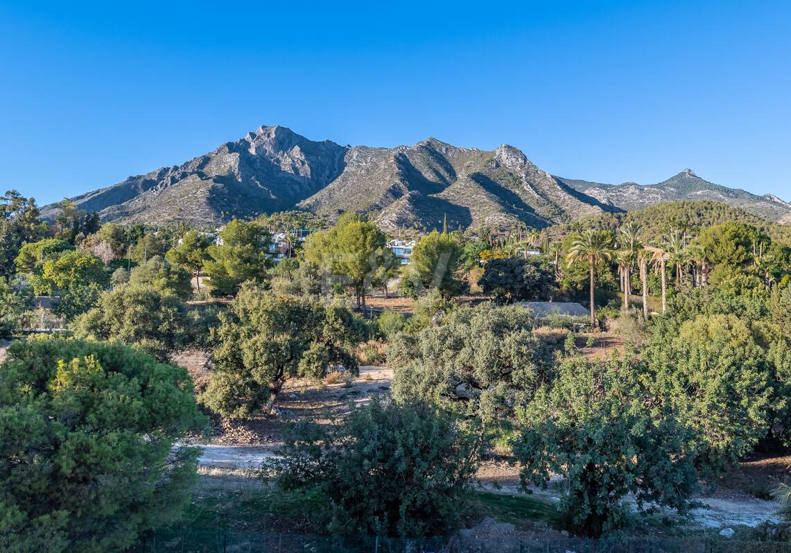 Penthouse do wynajęcia w Marbella Golden Mile, Marbella (Wszystkie obszary)
