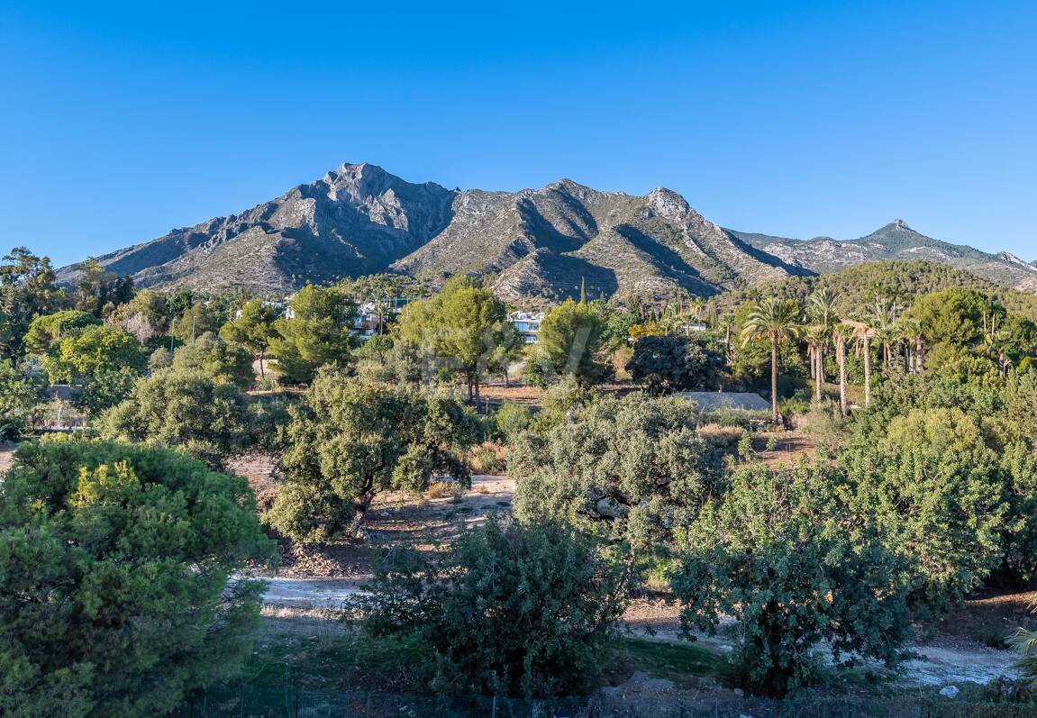 Appartement Terrasse à louer en Marbella Golden Mile, Marbella (Toutes les zones)