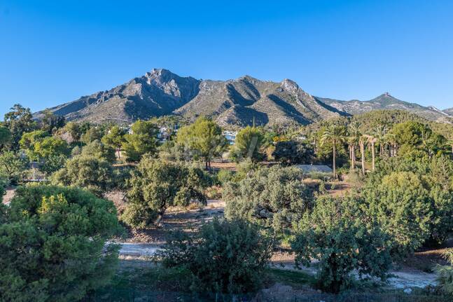 Appartement Terrasse à louer en Marbella Golden Mile, Marbella (Toutes les zones)