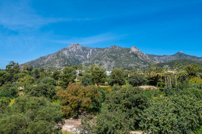 Appartement Terrasse à louer en Marbella Golden Mile, Marbella (Toutes les zones)