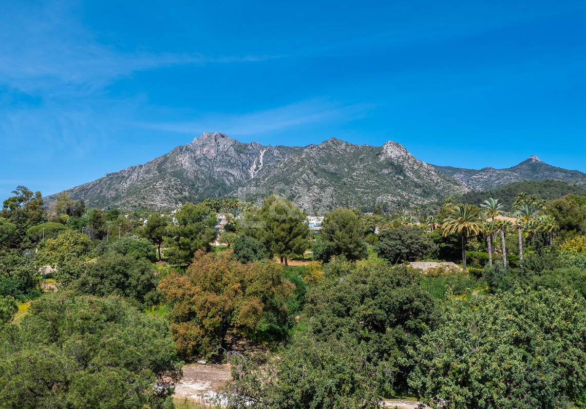 Penthouse do wynajęcia w Marbella Golden Mile, Marbella (Wszystkie obszary)