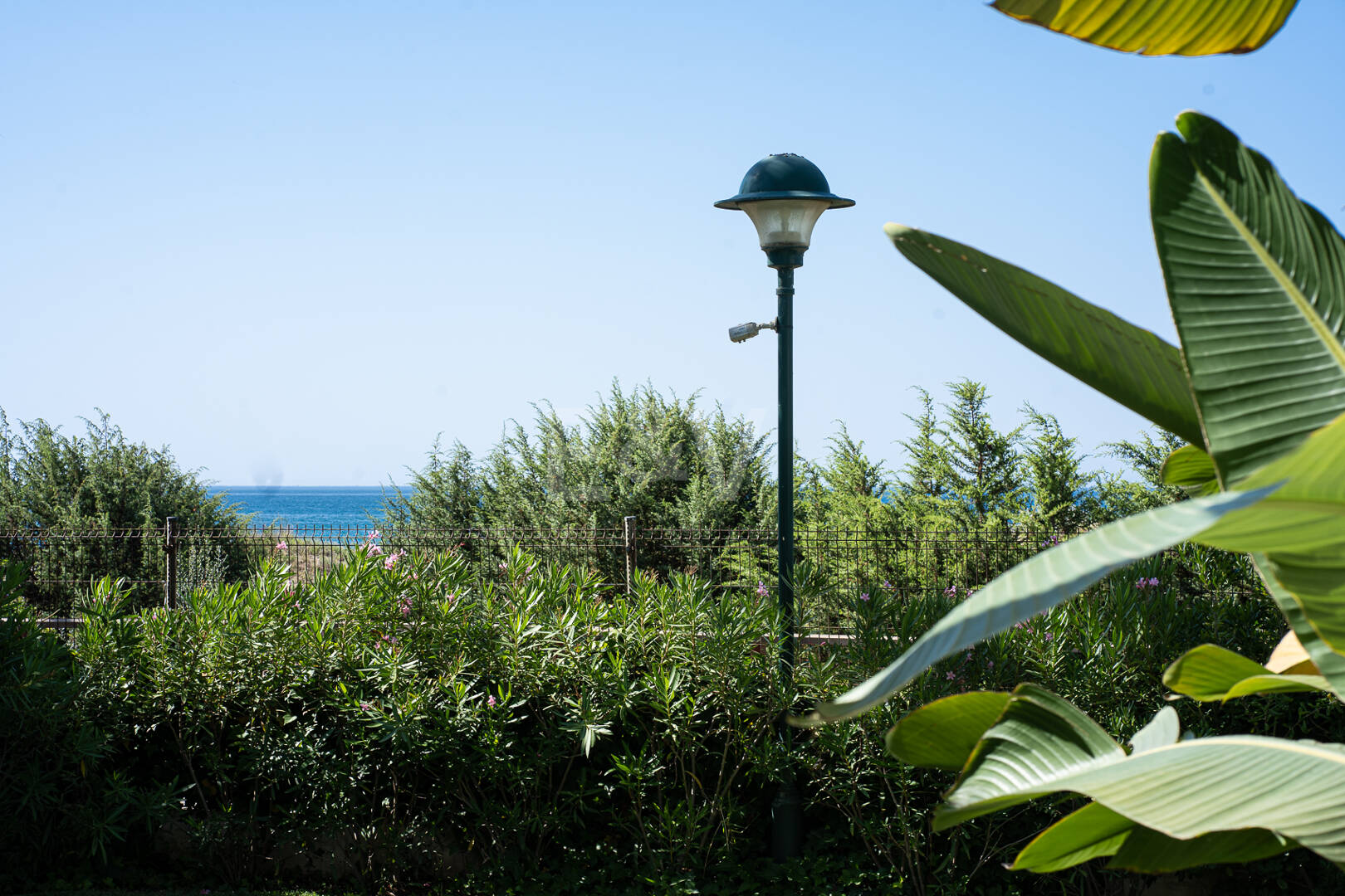 Lägenhet vid havet med trädgård i Palm Beach, Los Monteros