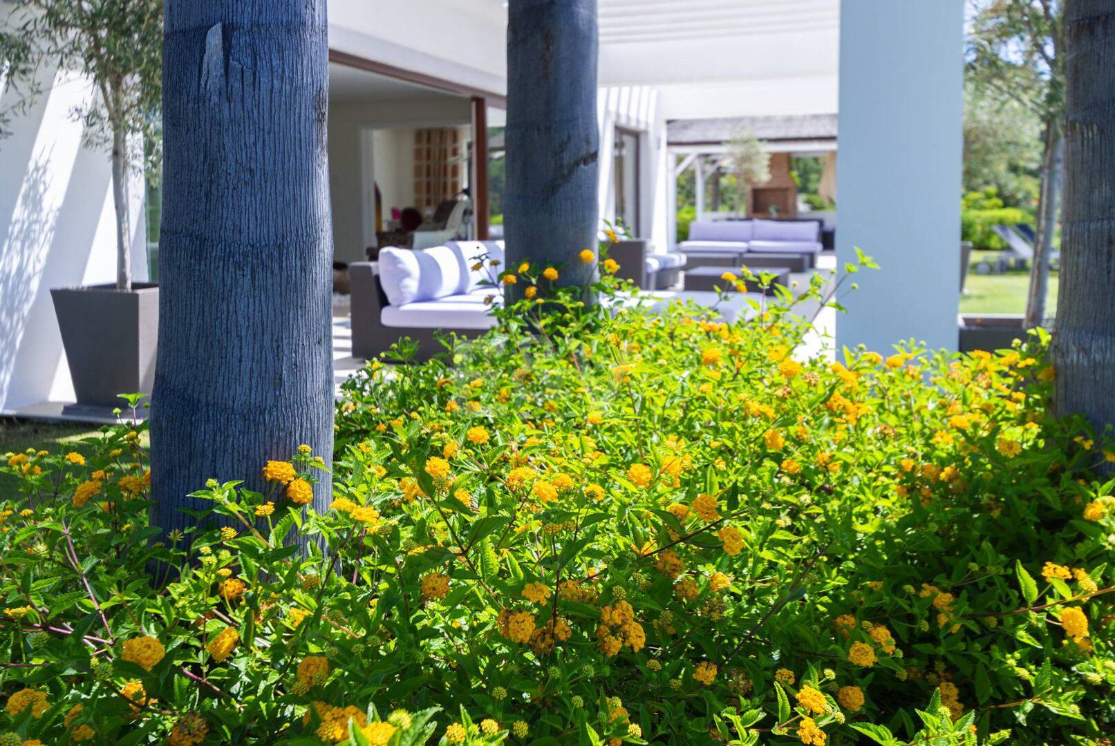 Villa contemporánea con impresionantes vistas en La Zagaleta