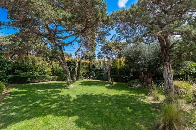 Moderne, ökoeffiziente Villa im andalusischen Stil mit privatem Pool und eingewachsenem Garten