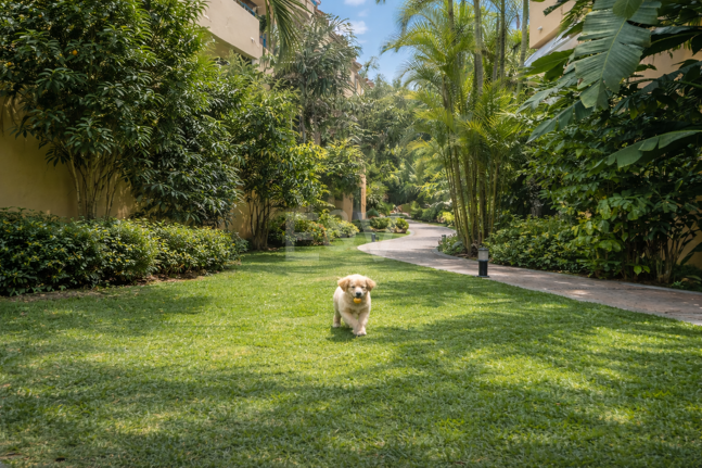 Gartenwohnung am Strand mit Touristenlizenz in einer bewachten Wohnanlage – Strandclubs, internationale Schulen und Annehmlichkeiten zu Fuß erreichbar