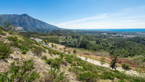 Parcela orientada al sur con vistas al mar y la montaña en Real de la Quinta