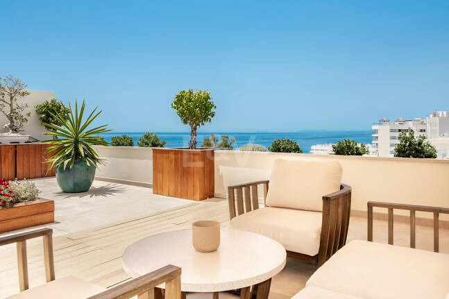 Spacious Duplex Penthouse in Don Gonzalo with Private Plunge Pool
