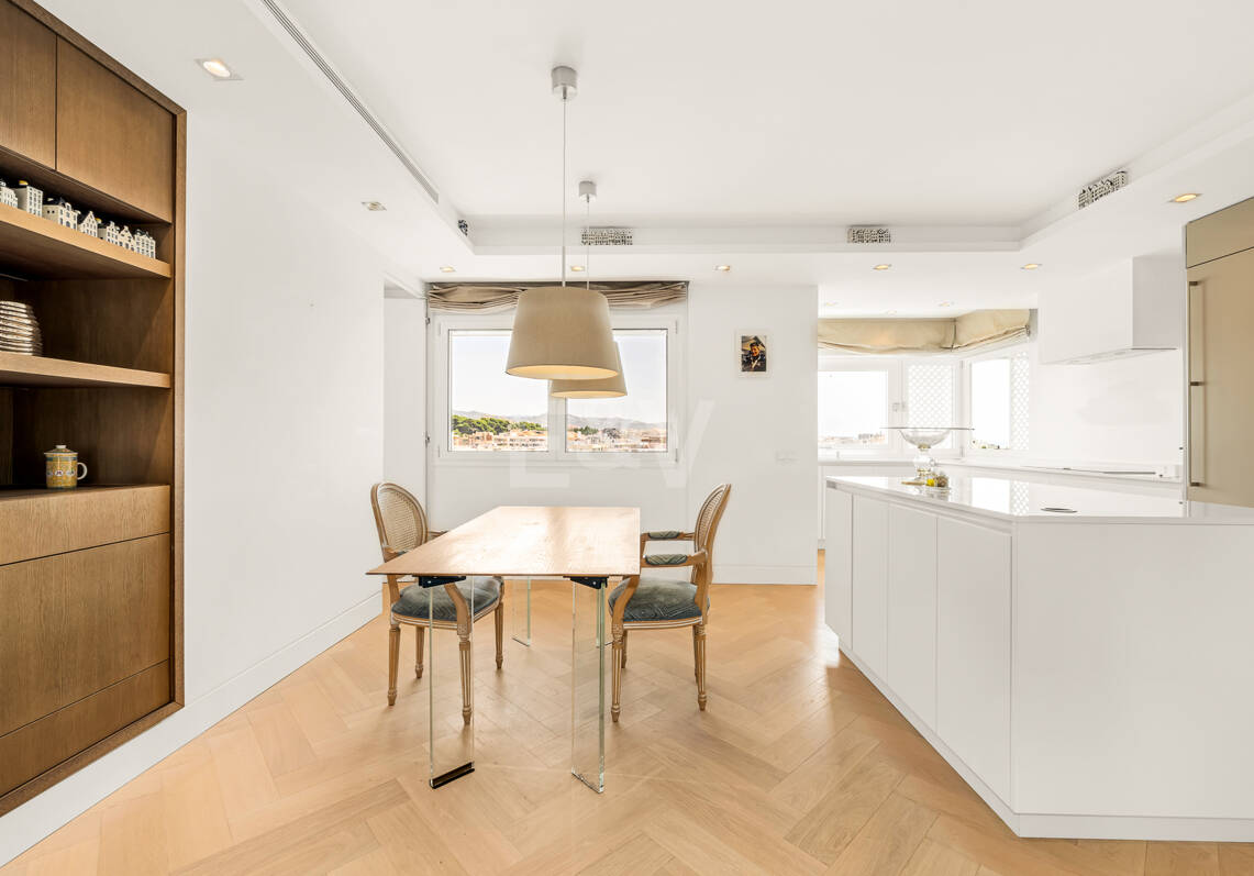 Spacious Duplex Penthouse in Don Gonzalo with Private Plunge Pool
